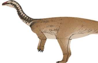 China’s Stone Giants: New Saurian Sovereign Rewrites Evolutionary Epic