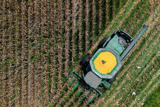 Trump’s Tariff Tinkering: A Farm-Belt Palliative Ahead of Midterms