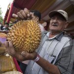 Malaysia’s Odorous Gambit: How ‘Stink Fruit’ Diplomacy Aims for Global Economic Clout