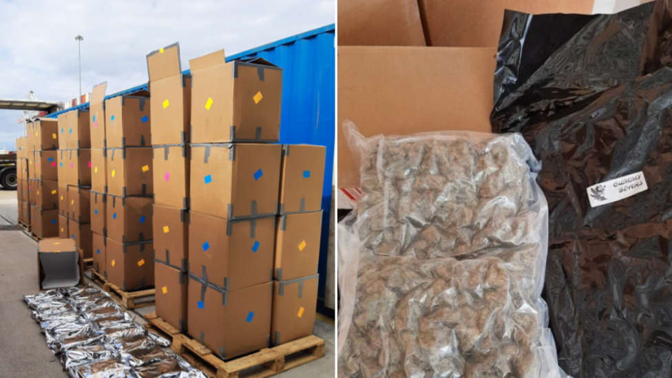 The Ghost Economy: Three Nabbed After £139M Cannabis Haul