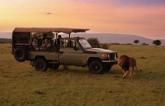 Golden Cages: Elite Safaris Spark Debate on Africa’s Prosperity and Predator Problem