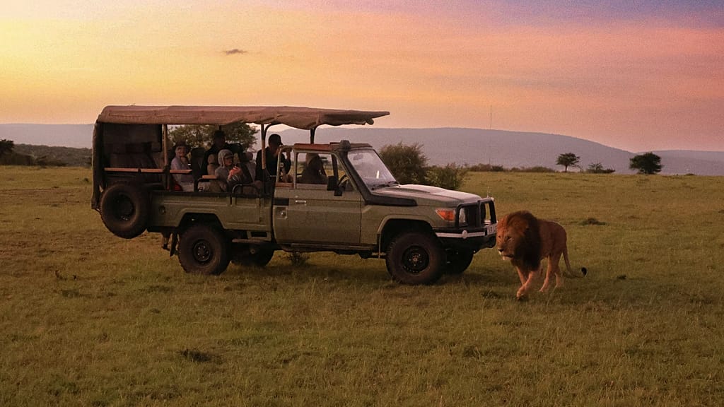Golden Cages: Elite Safaris Spark Debate on Africa’s Prosperity and Predator Problem