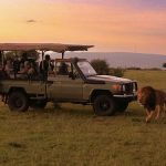The Lion’s Share: Africa’s Ultra-Luxury Safaris and the Global Geopolitics of Greed