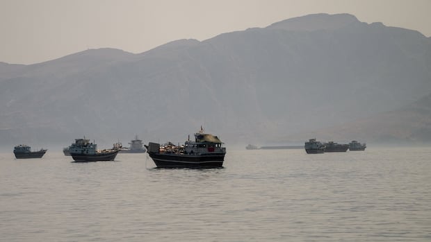 Divergent Claims Cloud Status of Vital Strait of Hormuz Amid US-Iran Tensions