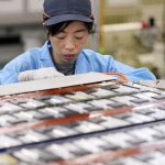 Beijing’s Green Exports Surge to US, Fueled by AI Boom and Geopolitical Realities