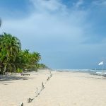 Ivory Coast’s Shifting Sands: The Quiet Economic Surge Beyond the Beaches