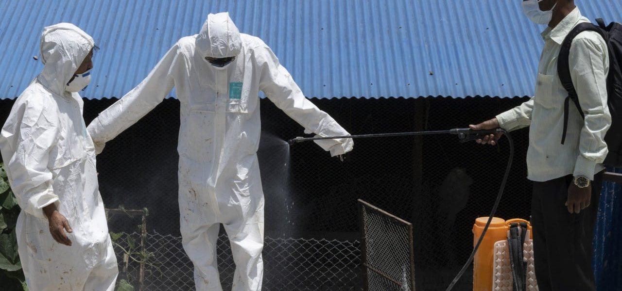 Kathmandu’s Avian Alarm: Bird Flu Shutdown Sparks Old Fears in Himalayan Shadow