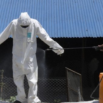 Kathmandu’s Avian Alarm: Bird Flu Shutdown Sparks Old Fears in Himalayan Shadow