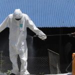 Nepal’s Silent Cull: Avian Flu Threatens Global Health from Himalayan Foothills