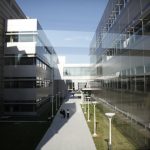 Gene Therapy’s Fast Lane: FDA’s Bureaucratic Leap or Profiteer’s Dream?