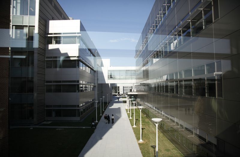 Gene Therapy’s Fast Lane: FDA’s Bureaucratic Leap or Profiteer’s Dream?