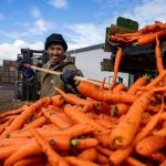 Agricultural Resilience: Canadian Farm Symbolizes North American Interdependence