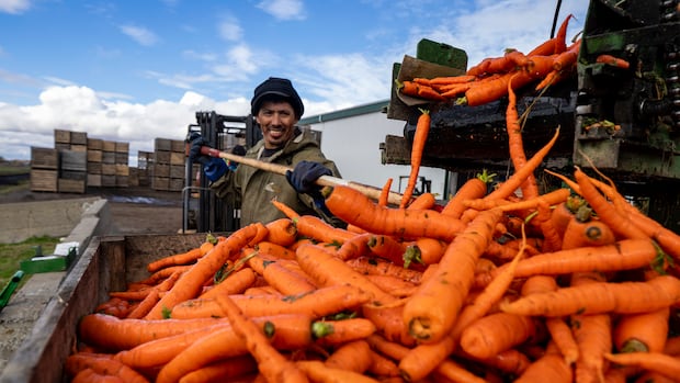 Agricultural Resilience: Canadian Farm Symbolizes North American Interdependence
