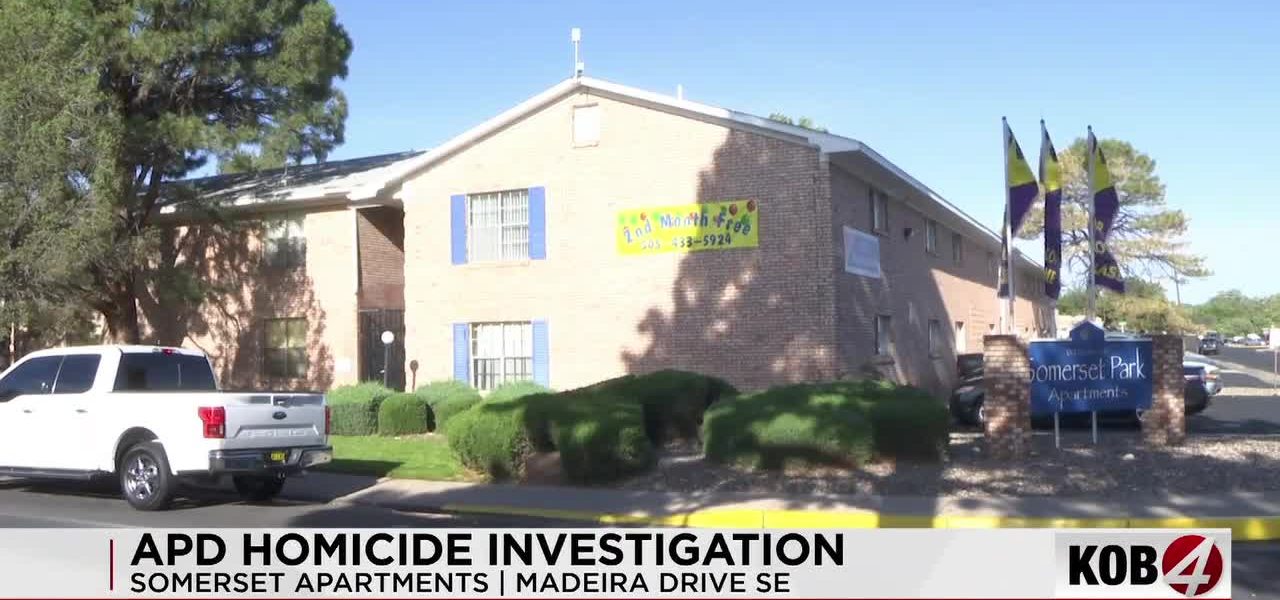 Albuquerque’s Bleeding Edge: Routine Welfare Check Unveils Grim Truth, 20th Homicide This Year