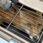 Ancient Foe, Modern Threat: Rabies Resurgence Forces Rethink in America’s Arid West