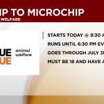 Tiny Chip, Big Policy: Albuquerque’s Stealthy Step Towards Connected Communities
