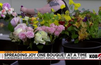 Ephemeral Blooms, Enduring Impact: Albuquerque’s Petal-Powered Revival of Community
