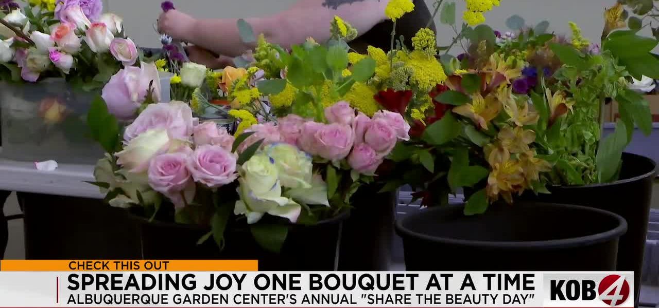 Fading Blooms & Frail Solace: Albuquerque’s Quiet Rebellion Against Social Drift