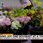 Fading Blooms & Frail Solace: Albuquerque’s Quiet Rebellion Against Social Drift Fading Blooms & Frail Solace: Albuquerque’s Quiet Rebellion Against Social Drift