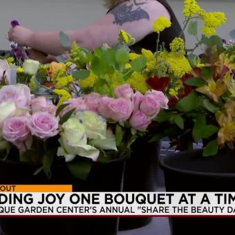 Fading Blooms & Frail Solace: Albuquerque’s Quiet Rebellion Against Social Drift