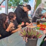 Identity’s Crucible: Israeli Schools Shape Druze Allegiance Amidst Regional Fault Lines