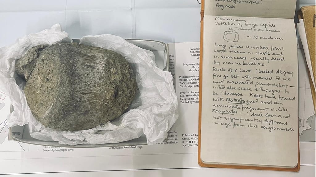 Frozen in Time, Stalled in Science: Antarctic Dino Unveils a Decades-Long Policy Paralysis