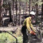 McCauley Springs: New Mexico Towns Breathe Uneasy Sigh as Wildfire Evacuees Return, Long Fight Ahead