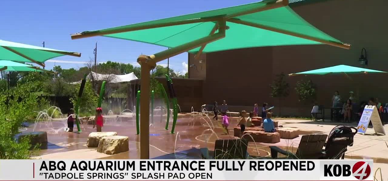 New Mexico Aquarium’s Latest Revamp Drowns Out Digital Discord