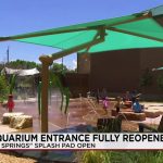 New Mexico Aquarium’s Latest Revamp Drowns Out Digital Discord
