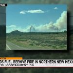 Desert’s Fury: New Mexico Wildfire Roars Unchecked, Igniting Policy Fault Lines
