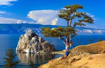 Asia’s Vanishing Green Lung: A Geopolitical Tremor, Not Just an Ecological Crisis