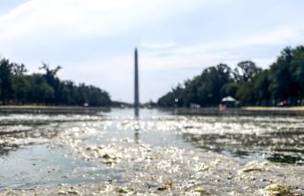 Lincoln Memorial Reflecting Pool Set for More Repairs Just Weeks After US.7 Million Renovation