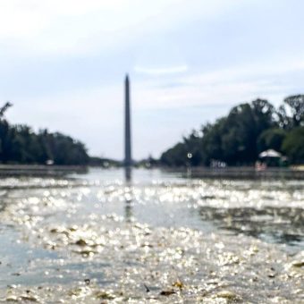 Lincoln Memorial Reflecting Pool Set for More Repairs Just Weeks After US.7 Million Renovation