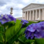 Liberty’s Gatekeeper: High Court Greenlights Revival of Contentious Border Policy