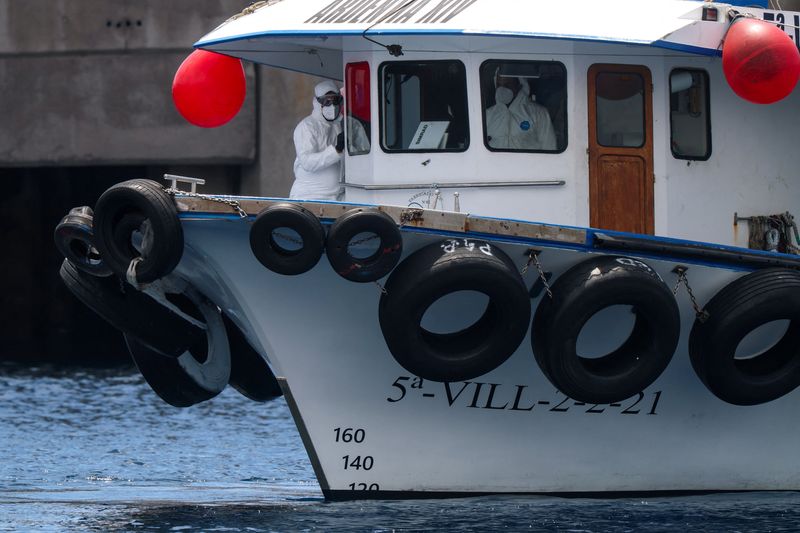 Cruise Line Catches a Cold: Hantavirus Scare Tests Global Health Networks, Tourism