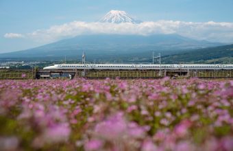 Silent Tracks, Unspoken Rules: Japan’s Rail Etiquette Exposes Deeper Cultural Rifts