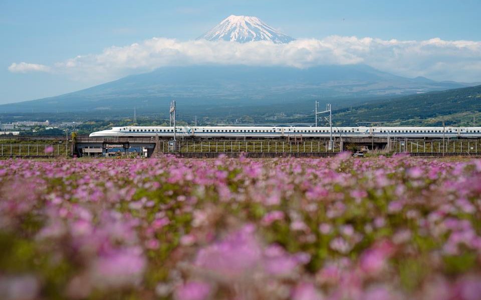 Silent Tracks, Unspoken Rules: Japan’s Rail Etiquette Exposes Deeper Cultural Rifts