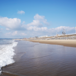 Silent Ripples: The Policy Abyss Behind a Beachfront Tragedy