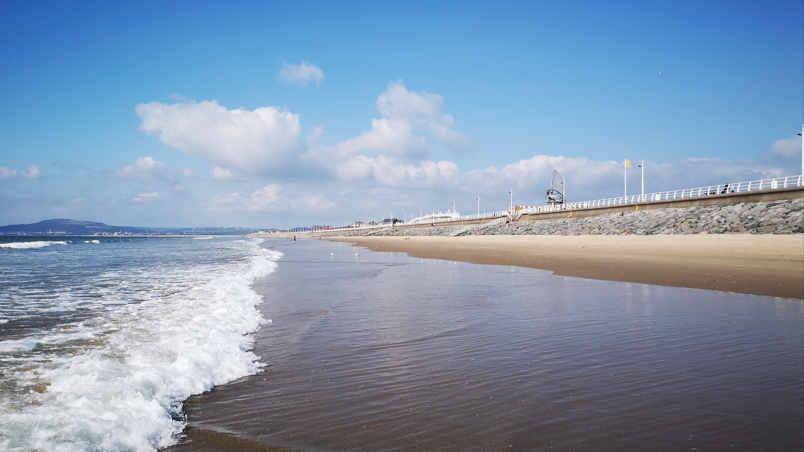 Silent Ripples: The Policy Abyss Behind a Beachfront Tragedy