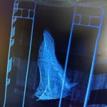 Algorithms vs. Anarchy: AI Takes Aim at the Brutal Global Marine Wildlife Trade Algorithms vs. Anarchy: AI Takes Aim at the Brutal Global Marine Wildlife Trade