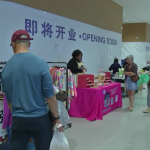 Beyond the Mandarins: Navigating Identity at the Asian American Heritage Festival