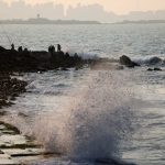 The Ocean’s Silent Scourge: How Humanity’s Waste Paves Way for ‘Superbugs’ The Ocean’s Silent Scourge: How Humanity’s Waste Paves Way for ‘Superbugs’