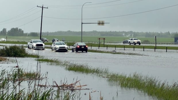 Weekend Rain Threatens to Make June Wettest on Record, Environment Canada Forecasts