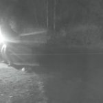 Bishnoi Gang Ties Emerge in Fiery South Surrey Attack, Three Jailed