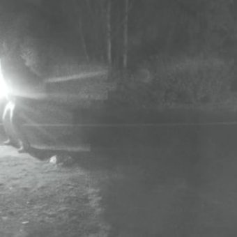 Bishnoi Gang Ties Emerge in Fiery South Surrey Attack, Three Jailed