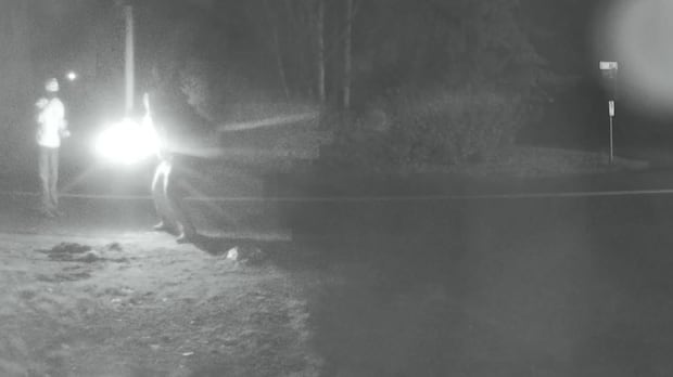 Bishnoi Gang Ties Emerge in Fiery South Surrey Attack, Three Jailed