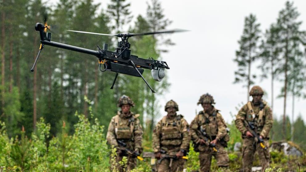 Phantom Fleet, Absent Force: UK Defence Languishes Amidst Bureaucratic Fog