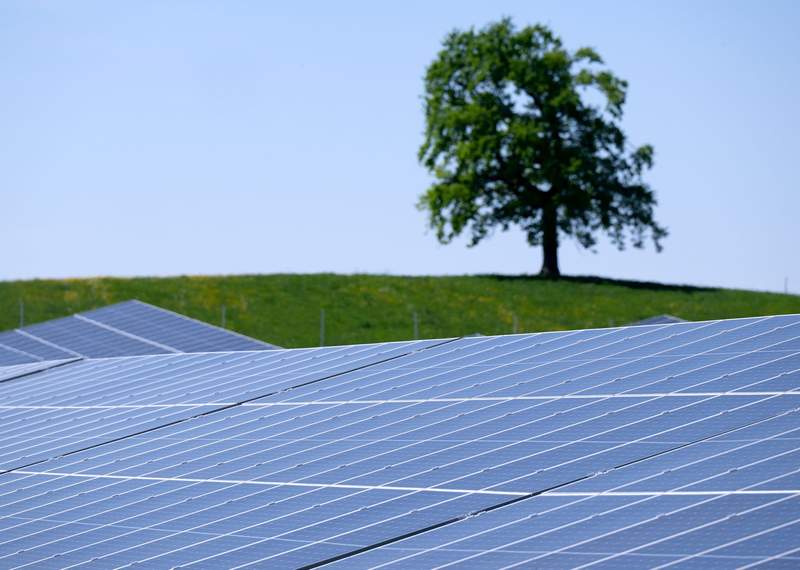 Tehran’s Shadow, Berlin’s Sun: German Solar Sector Explodes Amidst Geopolitical Jitters