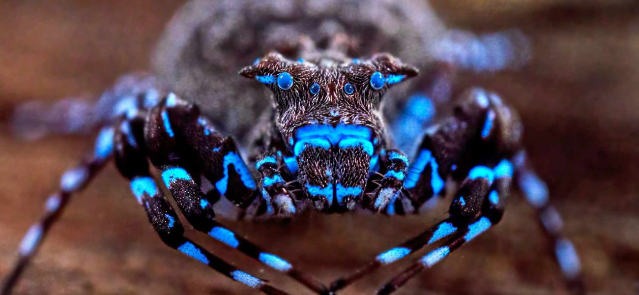 Twilight Frontier: New Species Haul Challenges Old Maps, Raises Islamabad’s Stakes