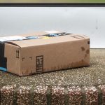 The Ultimate Delivery Nightmare: India’s Unforeseen Guest Arrives via Amazon Prime